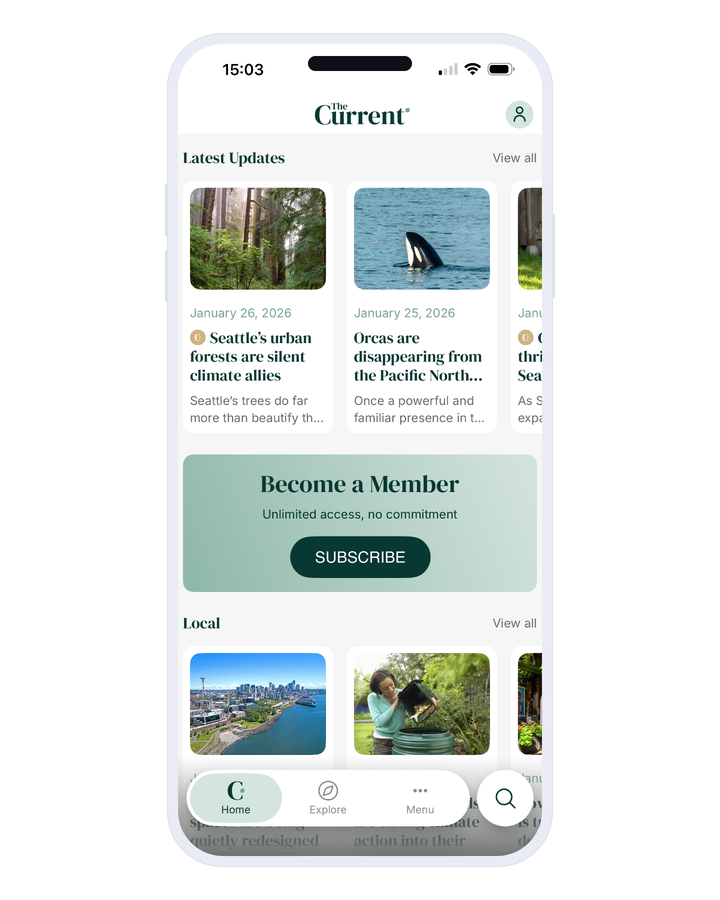 Un téléphone sur fond blanc affichant l'accueil d'une app d'actualités. Une rangée de cartes d'articles défile horizontalement ; deux d'entre elles portent une petite pastille ronde devant leur titre, la troisième n'en a pas. Sous cette rangée, une bannière colorée pleine largeur invite à devenir membre, avec un titre, une phrase et un bouton. Une seconde rangée de cartes commence en dessous, et une barre de navigation flotte en bas de l'écran.
