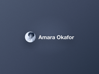 An author element, a circular avatar next to a name