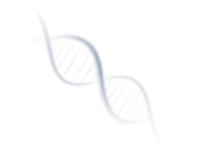 Illustration of human DNA